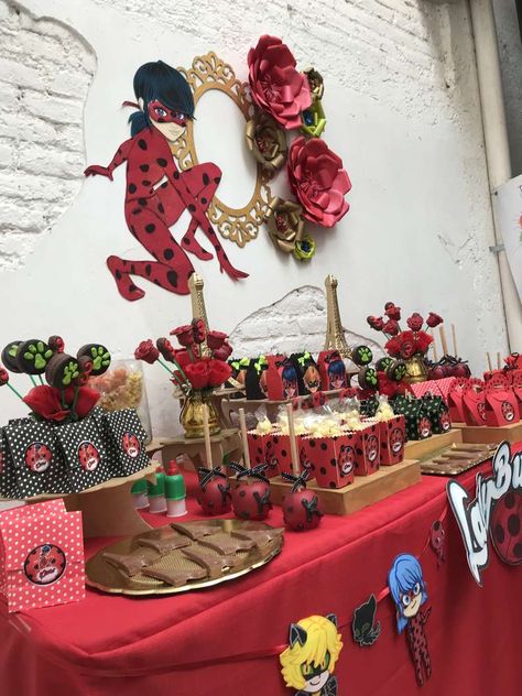 Ladybug Miraculous Birthday Party, Miraculous Birthday Party Ideas, Miraculous Birthday Party, Ladybug Birthday Decorations, Ladybug Birthday Theme, Miraculous Birthday, Ladybug Party Decorations, Miraculous Ladybug Costume, Birthday Ladybug