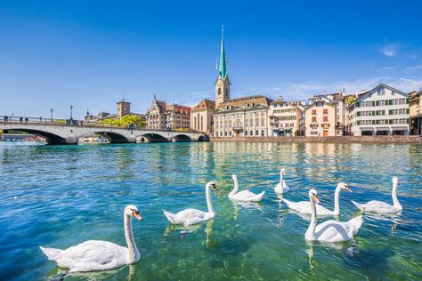 Switzerland Cities, Lake Zurich, Zurich Switzerland, Design Hotel, Lucerne, Most Beautiful Cities, Bern, City Center, Beautiful Places To Visit