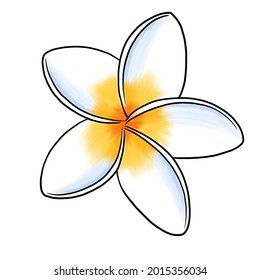 Hawaii Flower Drawing Simple, Plumeria Drawing Sketches, Plumeria Drawing Step By Step, Tiare Flower Drawing, Tropical Flower Drawing Easy, How To Draw A Plumeria, Hawaiian Flower Drawing Easy, Beach Flowers Drawing, Hawian Flowers Drawings