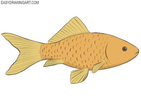 how to draw a fish Gold Fish Drawing, Draw A Fish, Makerspace Projects, Zigzag Line, Fish Drawing, Fish Drawings, Gold Fish, Drawing Easy, Sketches Easy