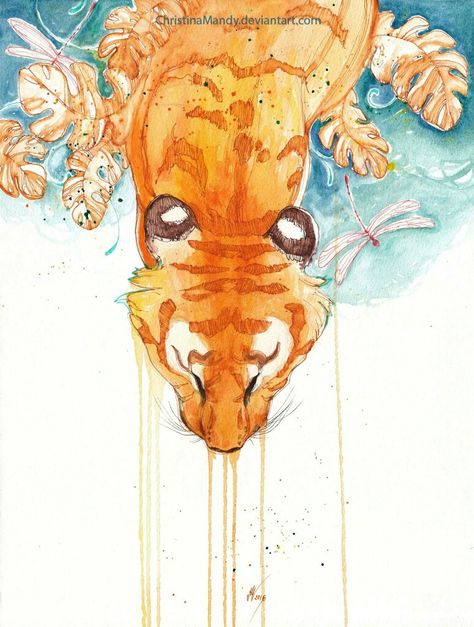 Mixed Media Watercolor, Watercolor Mixed Media, View From Above, Big Cats Art, Tiger Art, Creature Art, Art Drawings Sketches, Art Reference Poses, Big Cats