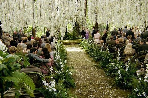 Twilight Wedding Dresses, Breaking Dawn Wedding, Romantic Night Wedding, Bella Y Edward, Outdoor Wedding Reception Decorations, Twilight Wedding, Cheap Wedding Decorations, Forest Theme Wedding, Twilight Breaking Dawn