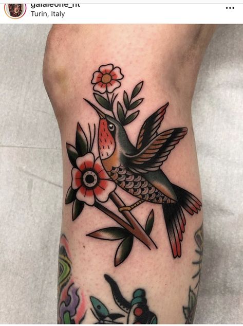 Traditional Hummingbird, Hummingbird Tattoos, Traditional Tattoo Inspiration, Traditional Tattoo Flowers, Traditional Style Tattoo, Traditional Tattoo Sleeve, Old School Tattoo Designs, Traditional Tattoo Design, Hummingbird Tattoo