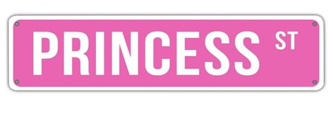 "Pink PRINCESS ST" Vintage Metal Tin Sign | Perfect for Girl's Room Decor | Exquisite Wall Art | 16x4 inchesCafe (B75) Pink Princess, Girls Room Decor, Girl's Room, Metal Tin, Tin Signs, Vintage Metal, Home Kitchen, Tin, Room Decor