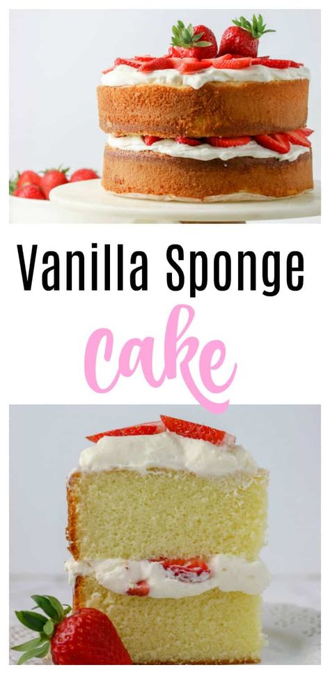 Vanilla Sponge Cake Recipe, Easy Sponge Cake Recipe, Whipped Cream And Strawberries, Cream And Strawberries, Cake With Whipped Cream, Sponge Cake Recipe, Vanilla Sponge Cake, Brownie Desserts, Sponge Cake Recipes