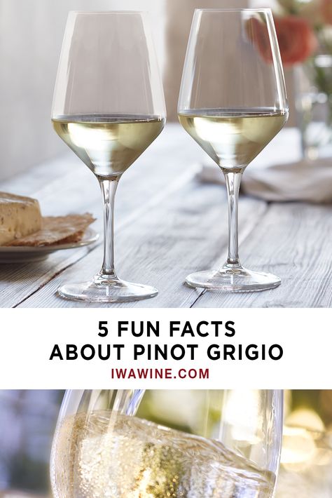 Pinot Gris and Pinot Grigio are both made from the same kind of grapes, with the only difference being location. Pinot Grigio hails from Italy, while Pinot Gris comes from France. You might see both of these names used interchangeably. You will not find the same flavor in all Pinot Grigio wines because it changes with the area where the grapes are grown. #pinot #pinotgrigio #pinotgris #whitewine #wine Pino Grigio Wine, Wine Float, Dry Wine, Wine Education, Gouda Cheese, Pinot Gris, Types Of Wine, Pinot Grigio, Summer Evening