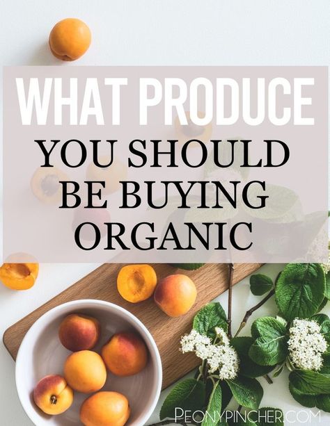 Produce To Buy Organic, What To Buy Organic, Calcium Foods, Organic Eating, Vegan Journey, Vegetable Shop, Fruit And Veggies, Dirty Dozen, Foods With Calcium