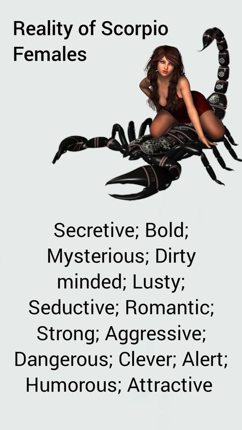 Scorpion Sign, Scorpio Moon Sign, Horoscope Signs Scorpio, Scorpio Zodiac Tattoos, Scorpio Queen, Scorpio Personality, All About Scorpio, Zodiac Quotes Scorpio, Scorpio Art