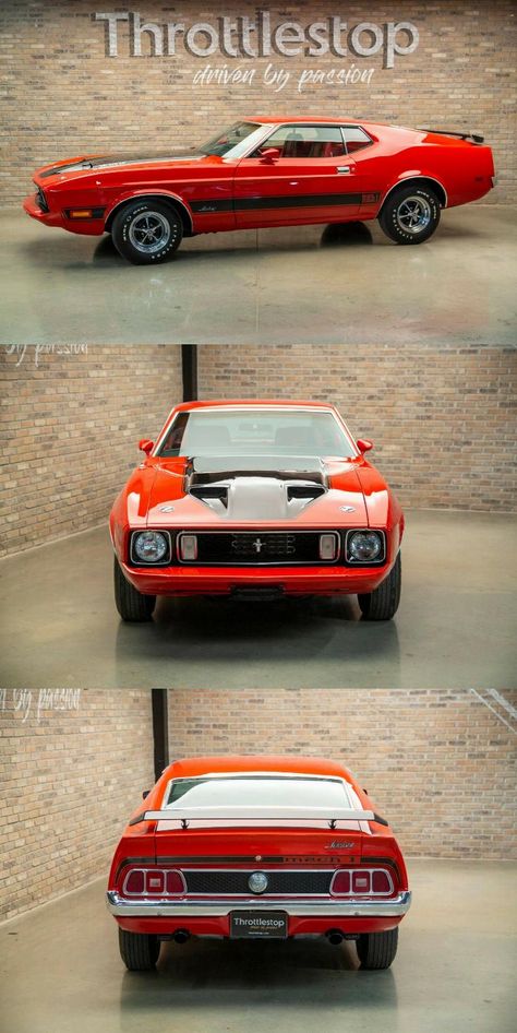 1971 Ford Mustang Mach 1, 1970 Mustang Mach 1, 1973 Mustang, Mustang Sally, Ford Mustang Fastback, Mustang Mach 1, Classic Mustang, Ford Lincoln Mercury, Mustang Fastback