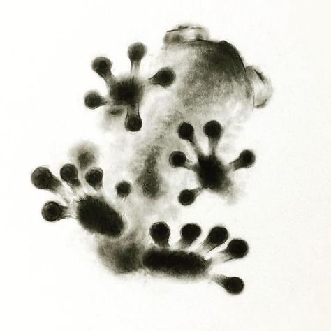 Gecko, Pencil Art, Pencil, Black And White, Glass, White, Black, Art