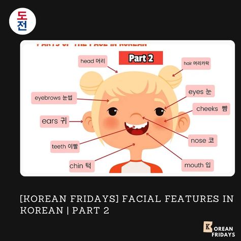 [Korean Fridays] Facial Features in Korean | Part 2 Let's continue our journey into describing facial features in Korean! In Part 1, we covered the eyes, nose, mouth, and ears. Now, let's delve into the remaining features: head, cheeks, chin, teeth, and eyebrows. Visit our site for the full lesson! Also, write your sample sentence in the comments and we'll correct it! --- #dojeonmedia #dojeon #도전미디어 #도전 #learnkorean #learnkoreanwords #learnkoreanwithme #koreanfridays #koreanlanguage #korea... Learn Korean, Language Learners, Facial Features, Head Hair, Korean Language, Our Journey, Eyebrows, Facial, Media