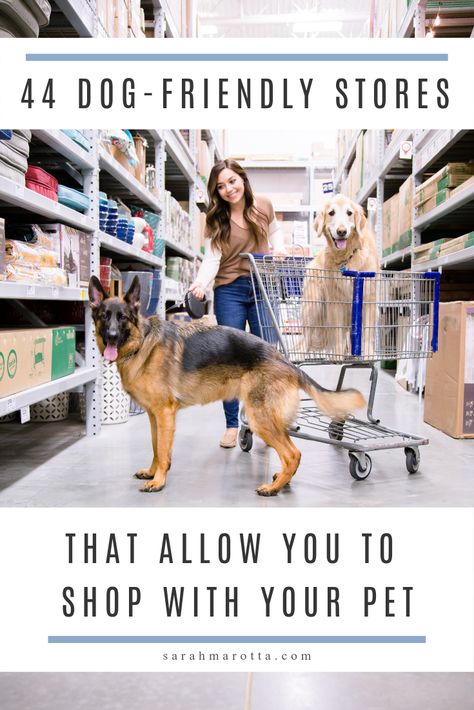 Dog Friendly Stores, Puppy Things, Service Dogs Gear, Colorful Hairstyles, Spoiled Dogs, Dog Business, Work Tips, Baby Mom, Support Dog