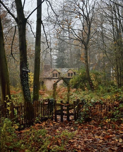 Deep In The Woods, Witch Cottage, Cottage Aesthetic, Autumn Magic, Cottage In The Woods, Fallen Leaves, Little Cottage, Weaving Textiles, Witch Aesthetic