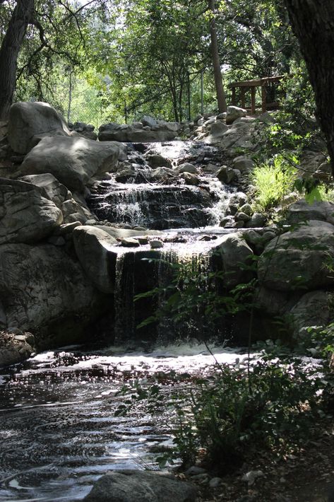 Nestled in the heart of La Cañada Flintridge near Los Angeles, Descanso Gardens offers you a serene escape from the bustling city life. Imagine strolling through 150 acres of gardens, where the wonder of nature unfolds with every step you take. This living plant museum is not only a place to admire the seasonal beauty of flourishing flora but also a venue that hosts a range of events and cultural activities throughout the year. Plant Museum, Descanso Gardens, Tranquil Retreat, Bustling City, Ancient Forest, Garden Photography, Cultural Activities, Garden Inspired, Downtown Los Angeles