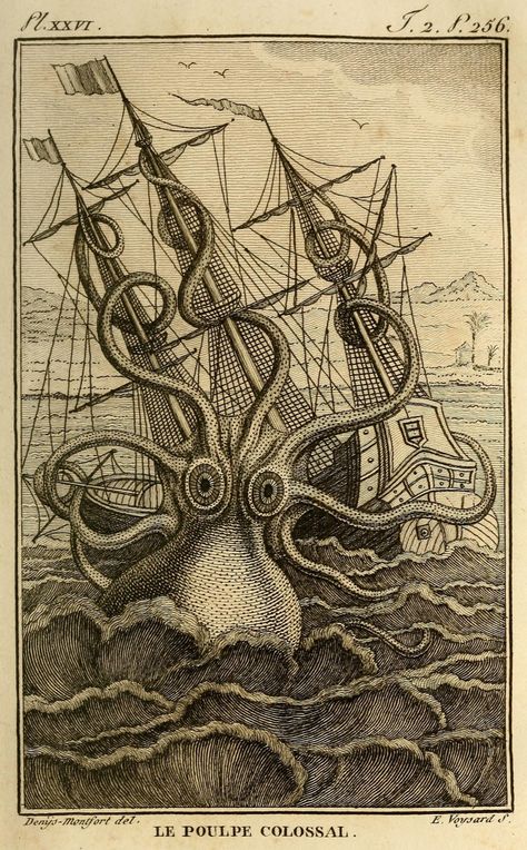 Vintage Kraken Giant Squid Sea Monster Ship Kraken Sea Monster, Octopus Art Print, Octopus Illustration, Art Plage, Vintage Octopus, Octopus Wall Art, Kunst Tattoos, Octopus Print, Man Cave Wall Art