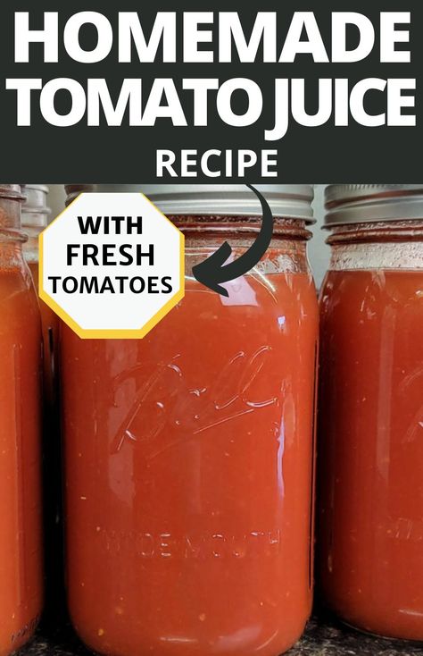 quart jar of canned tomato juice Easy Tomato Juice Recipe, Fresh Tomato Juice Recipe, Canning Tomato Juice, Homemade Tomato Juice, Recipe Using Tomatoes, Tomato Juice Recipes, Using Fresh Tomatoes, Salsa Canning Recipes, Canned Tomato Juice