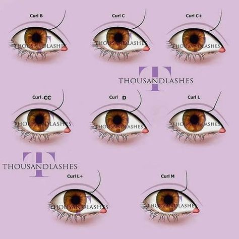 Classic Eyelash Extensions: Tips And Tricks Lash Curls, Lash Tips, Lash Mapping, Lash Tweezers, Lash Extension Supplies, Different Curls, Velour Lashes, Cat Eye Lash, Eyelash Extensions Styles