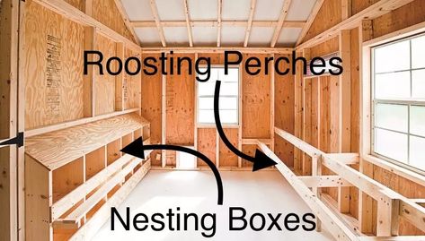 Inside a Chicken Coop | 8 Important Interior Features Inside A Chicken Coop, Inside Chicken Coop, Chicken Roost, Walk In Chicken Coop, Cute Chicken Coops, Easy Chicken Coop, Chicken Shed, Chicken Barn, Backyard Chicken Coop Plans