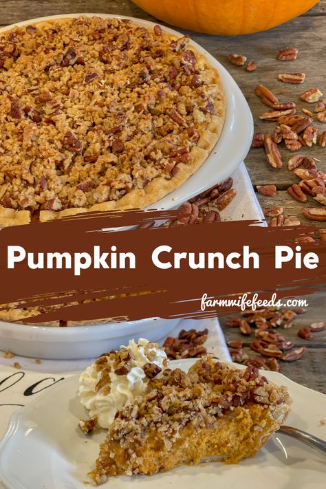 Toppings For Pumpkin Pie, Non Traditional Pumpkin Pie, Pumpkin Pie With Topping, Pumpkin Crunch Pie, Pumpkin Pie With Strudel Topping, Pumpkin Streusel Pie, Pecan Crunch Topping, Pumpkin Pie Topping, Pumpkin Pie Topping Ideas