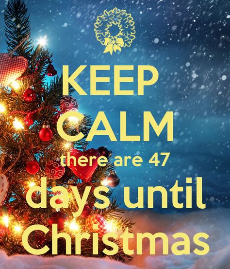 Days Till Christmas, Ideas For Christmas, Days Until Christmas, Christmas Night, Christmas Books, Christmas Countdown, 100 Days, Get In Shape, Shirt Ideas