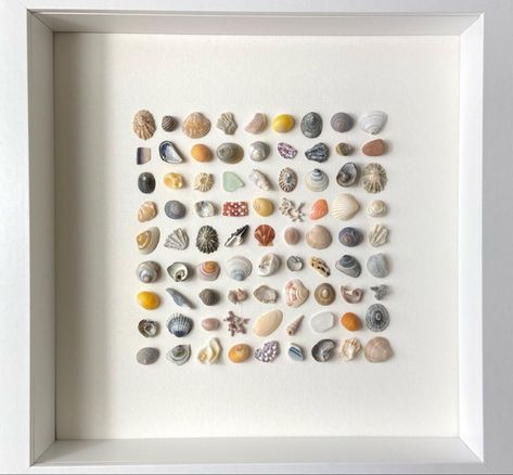 Mini Sea Shell Crafts, Tiny Shells, Seashell Art Diy, Shell Display, Art Coquillage, Seashell Wall Art, Shell Crafts Diy, Shell Frame, Sea Glass Crafts