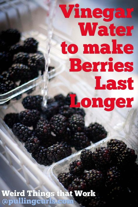 Use vinegar to rinse berries to help them last longer {wierd things that work}. Storing Fruit, Food Info, Fruit Recipes, Baking Tips, Cooking Kitchen, Fruits And Veggies, Food Hacks, Good Eats, Cooking Tips