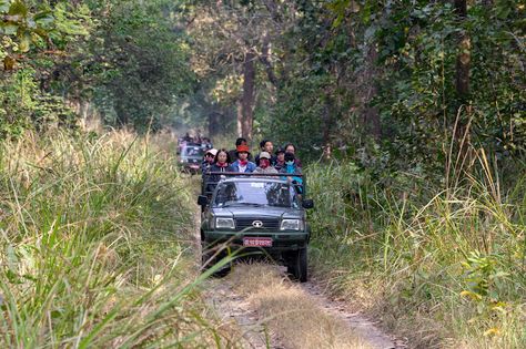 Chitwan Jungle Safari Chitwan National Park, Safari Jeep, Adventure Hat, Elephant Ride, Wild Elephant, Responsible Tourism, Canoe Trip, Jungle Adventure, Majestic Creatures