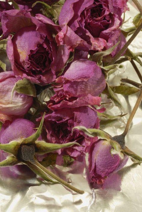 ... Preserve Flowers, Live Flowers, Dried Flowers Diy, Fresh Cut Roses, Drying Roses, Roses Bouquet, Flower Spray, Dried Floral, How To Preserve Flowers