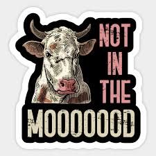 Cash Cow Quotes, Cow Quotes Cute, Funny Cow Quotes, Cow Showing Quotes, Cow Puns Funny, Funny Cow Pictures, Cow Sayings, Cow Quotes Country Living, Farmer Quotes Funny