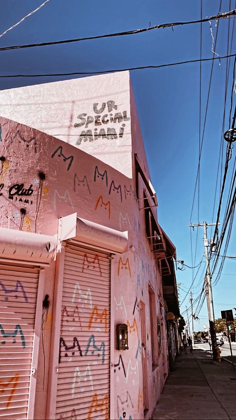 Miami 2000s Aesthetic, Miami Street Photography, Old Miami Aesthetic, Miami Mood Board, Wet Willies Miami, Wynwood Walls Photoshoot, Miami Culture, Miami Building, Miami Street Art