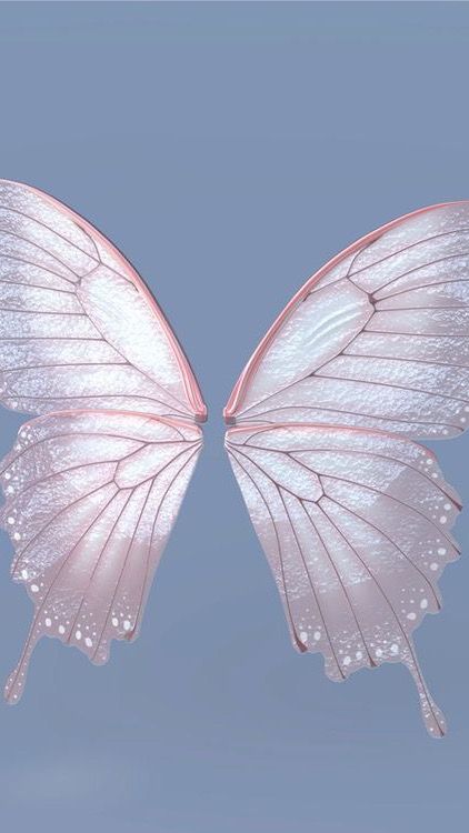 Butterfly Wings Wallpaper, Fairy Wings Aesthetic, Fairycore Butterfly, Fairy Background, Wallpapers Blue, Wing Butterfly, Wings Wallpaper, Blue Butterfly Wallpaper, Fairy Wallpaper