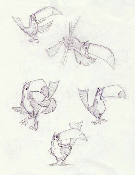 Toucan Character Design, Sheridan Animation, Bird Reference, Animal Studies, Illustration Reference, Drawing Help, Caracter Design, Cartoon Birds, Character Model Sheet