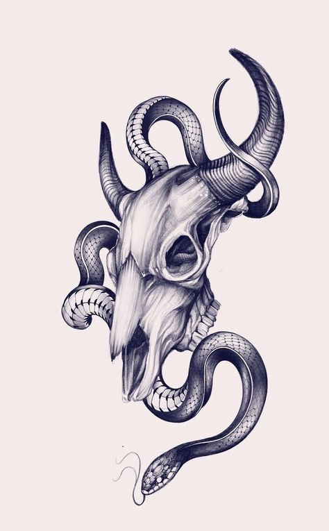 Horned Skull Tattoo, Bull Skull Tattoos, Tier Tattoo, Snake Drawing, Skull Sleeve Tattoos, Bull Tattoos, Snake Tattoo Design, Theme Tattoo, Animal Skull