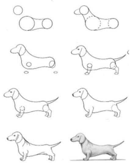 Cute Dog Doodles, Doodle Dog Art, Dog Doodles, Dog Sketches, Dachshund Drawing, Draw Dogs, Dachshund Painting, Dog Drawing Tutorial, Dog Sketch