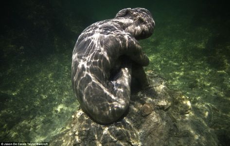 Natural subject: 'No Turning Back' in the Museo Subacu·tico de Arte in Cancun, Mexico, a cement cast of a hunched-over woman, alludes to the... Underwater Statues, Jason Decaires Taylor, Mermaid Photo Shoot, Underwater Sculpture, Sculpture Images, Breathing Underwater, Mermaid Photos, Modern Metropolis, Alternate Universe