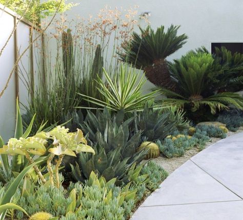 Contemporary Garden Design, Drought Tolerant Garden, Succulent Landscaping, Dry Garden, Desert Garden, Landscape Designs, Contemporary Garden, Garden Care, Small Gardens