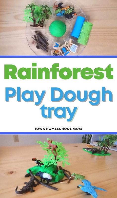 Rainforest Sensory Activities, Rainforest Dramatic Play Preschool, Rainforest Stem Activities, Preschool Rainforest Activities, Habitat Activities Preschool, Rainforest Activities For Toddlers, Rainforest Activities Preschool, Rainforest Sensory Bin, Preschool Rainforest