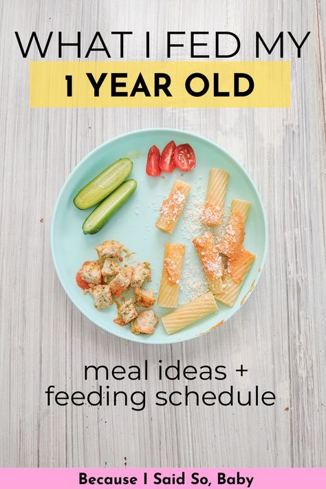 1 year old meal ideas and feeding schedule Blw Meals One Year Old, 1 Year Lunch Ideas, Meal For One Year Old, Baby Meal Ideas 1 Year, 1 And A Half Year Old Food Ideas, Breakfast 1 Year Baby, Things To Feed A One Year Old, Dinner Ideas One Year Old, 1 Year Food Ideas