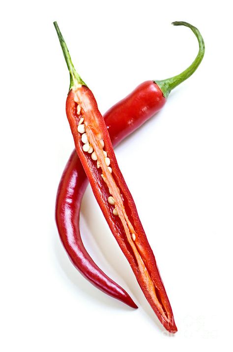 Herbs Illustration, Fruit Art Drawings, Red Jalapeno, Food Art Photography, Food Illustration Art, Hot Peppers, Fruit Photography, Hottest Chili Pepper, Chilli Pepper