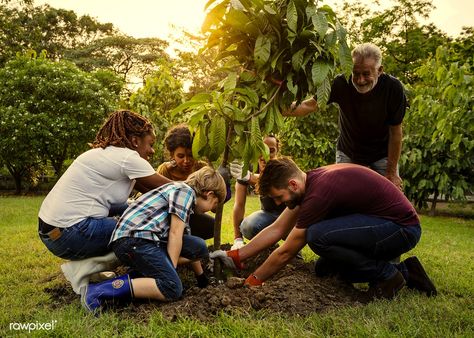 Group of people planting a new tree | free image by rawpixel.com String Garden, Areas Verdes, Family Weekend, Social Enterprise, Plant Supports, All About Plants, Green Garden, Community Gardening, Kids Playground