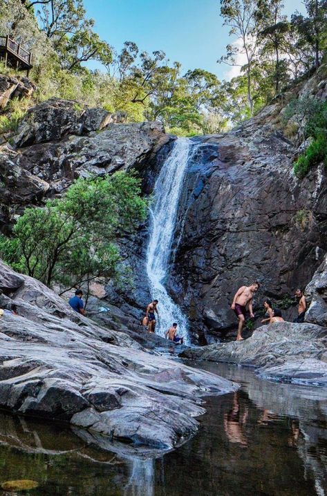 Cedar Creek Falls Mt Tamborine | Waterfalls near Brisbane Cedar Creek Falls, San Diego Hiking, Mt Tamborine, Australian Road Trip, East Coast Travel, Brisbane Queensland, National Park Photos, Cedar Creek, Rock Pools