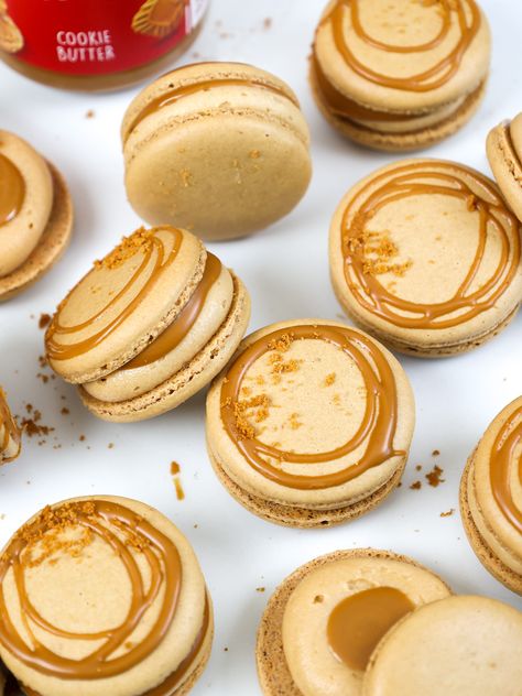 Cookie Butter Ganache, Cookie Butter Macarons, Butterfinger Macarons, Biscoff Ganache, Biscoff Macarons, Bear Macarons, Biscoff Buttercream, Macaron Ideas, Freezer Cookies