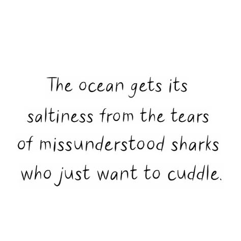 quote, shark, tears Quotes About Sharks, Shark Quotes, Shark Tail, Cute Shark, Quote Aesthetic, Sharks, Screen, Quotes, Quick Saves