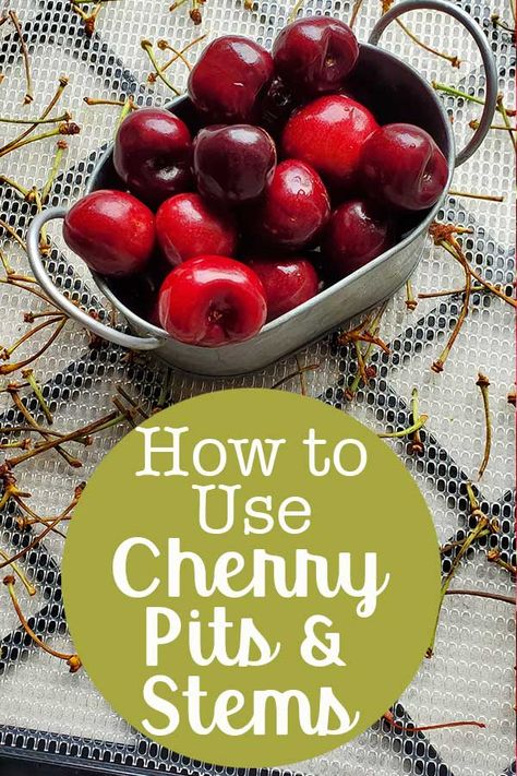 Learn all the ways to use cherry pits and stems and not waste a thing! #preserving #cherries #canbassadors #thepurposefulpantry Preserving Cherries, Cherry Ideas, Fruit Powders, Valentines Recipes, Summer Fruit Recipes, Valentines Recipes Desserts, Cherry Preserves, Canning Fruit, Dehydrated Foods