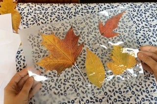 Laminated Leaves for Fall Crafts. No Laminator Needed : 5 Steps (with Pictures) - Instructables Laminated Leaves, Laminating Crafts, Nature Bookmark, Educational Websites For Kids, Leaf Projects, Fall Leaf Garland, Gift Boxes Decoration, Fall Deco, Fallen Leaves