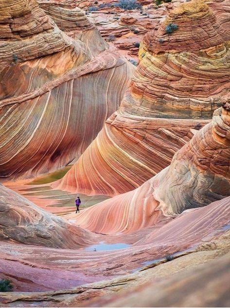 The Wave is a sandstone rock located in Vermilion Cliffs National Monument on the Arizona and Utah borders. The swirling formation combines water and wind eroded sandstone dunes calcified vertically and horizontally and fossilized over 190 million years. Only 20 people are permitted to visit the natural wonder daily, which can only be reached by foot. The Wave Arizona, Trip Planner, Arizona Travel, Rock Formations, Beautiful Places In The World, The Wave, Beautiful Places To Travel, Pretty Places, Kauai