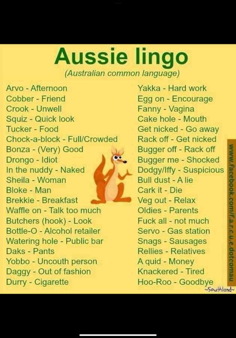 Australian Sayings, Australian Quotes, Goof Ball, Aussie Slang, Australian Slang, Oc Things, Australia Day, Life Quotes, Australia