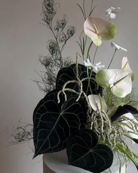 growing 🖤 | Instagram Beetlejuice Flower Arrangement, Flower Knowledge, Growing Instagram, Plant Desk, Nyc Florist, Summer Flower Arrangements, Office Flowers, Breckenridge Wedding, Grow Instagram