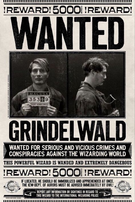 Harry Potter Newspaper, Fantastic Beasts Hogwarts, Beast Film, Imprimibles Harry Potter, Daily Prophet, Dark Wizard, Harry Potter Poster, Gellert Grindelwald, Fantastic Beast