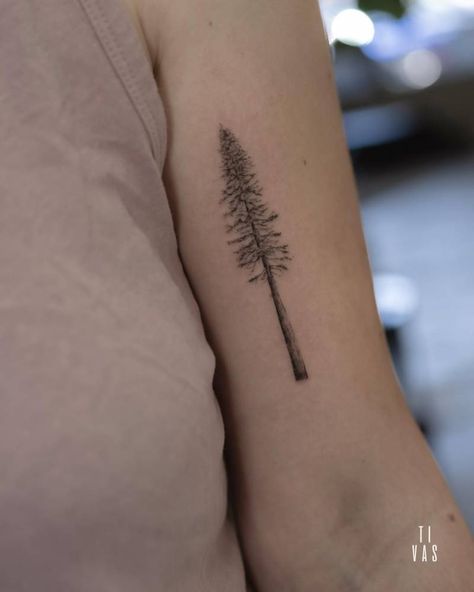 Micro-realistic redwood tree located on the bicep. Tree Tattoo Bicep, Redwood Tattoo, Birch Tree Tattoos, Simple Tree Tattoo, Pine Tattoo, Woman Tattoos, Tree Tattoo Arm, Honey Bee Tattoo, Shoe Tattoos